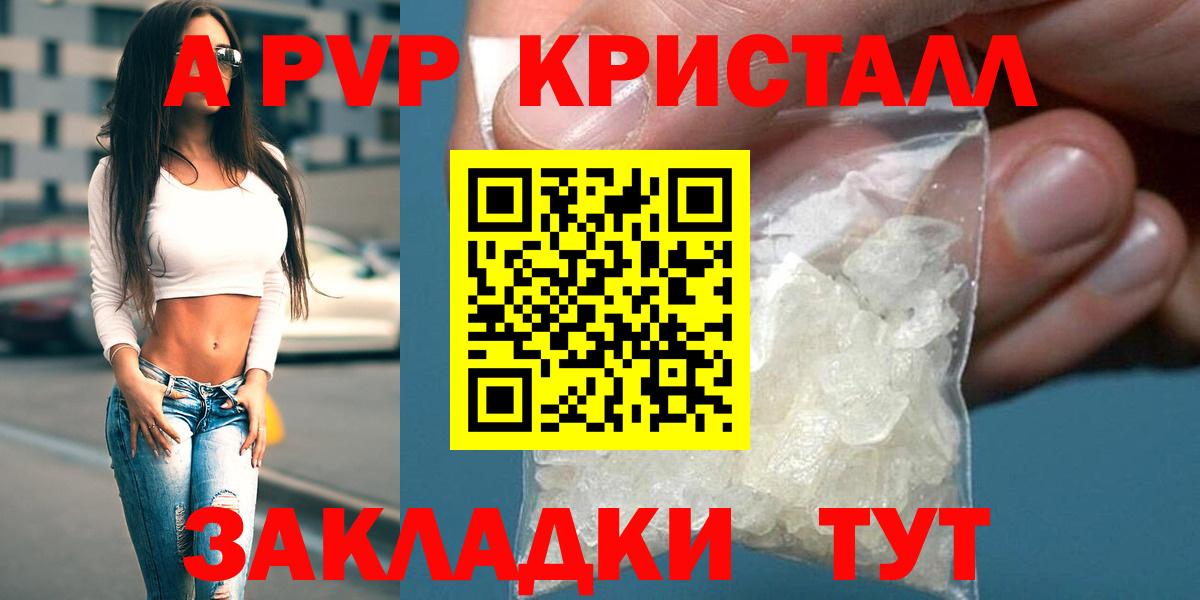 Альфа ПВП СК КРИС Курчалой