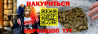молекула духа Кингисепп