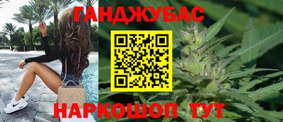 молекула духа Кингисепп