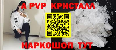 молекула духа Кингисепп