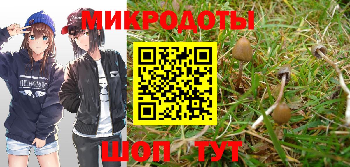 Галлюциногенные грибы GOLDEN TEACHER Курчалой