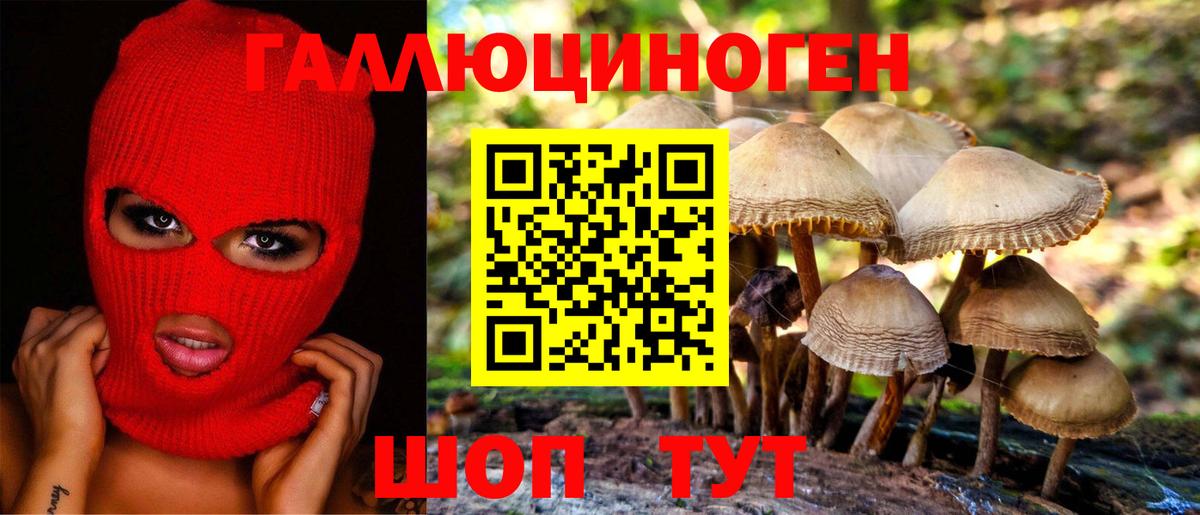 Псилоцибиновые грибы ЛСД  Вход с VPN  Курчалой 