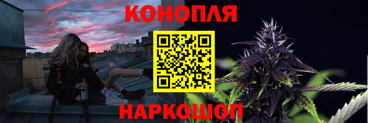 Конопля конопля  Вход с VPN  Бошки марихуана OG Kush  Марихуана индика  Курчалой 